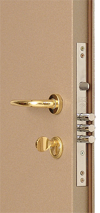 Металлическая дверь тип 1