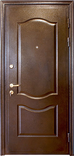 Металлическая дверь тип 2